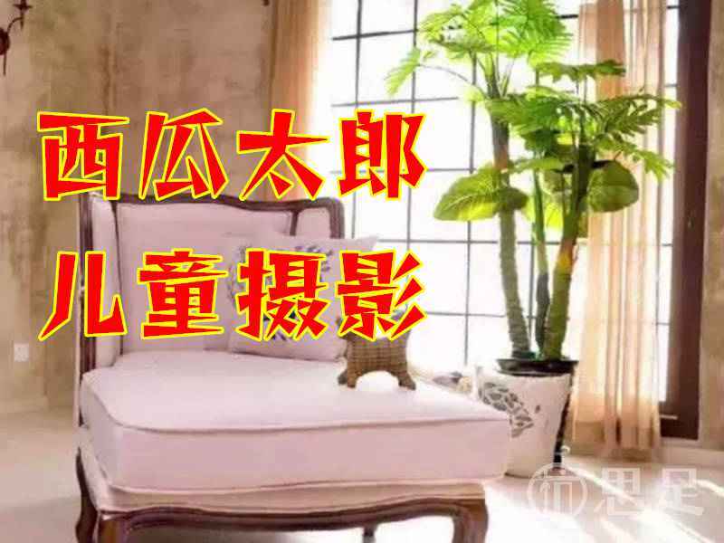 西瓜太郎儿童摄影