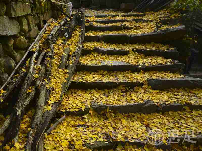 杭州好玩的地方:解锁放松解压新地图