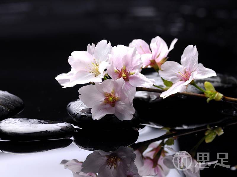 杭州商务会所:高端服务与特色体验全揭秘