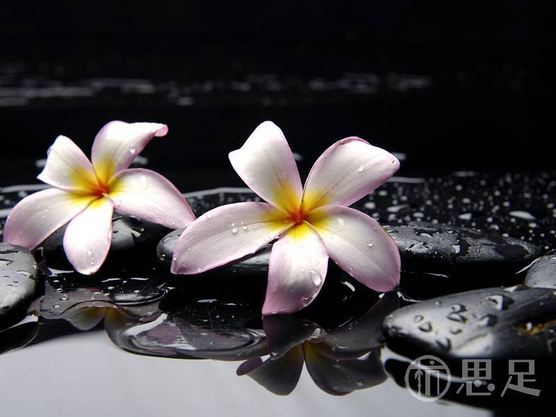 杭州商务会所:高端服务与特色体验全揭秘