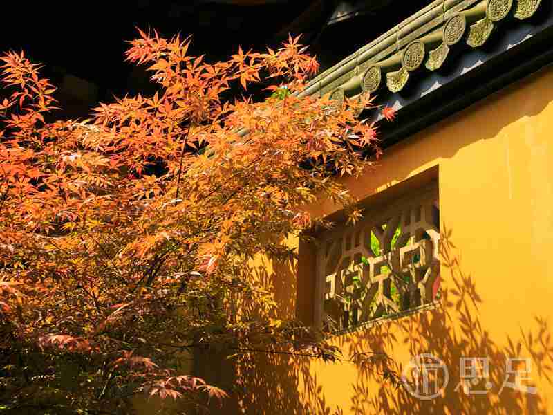 杭州夜生活:经典打卡地指南