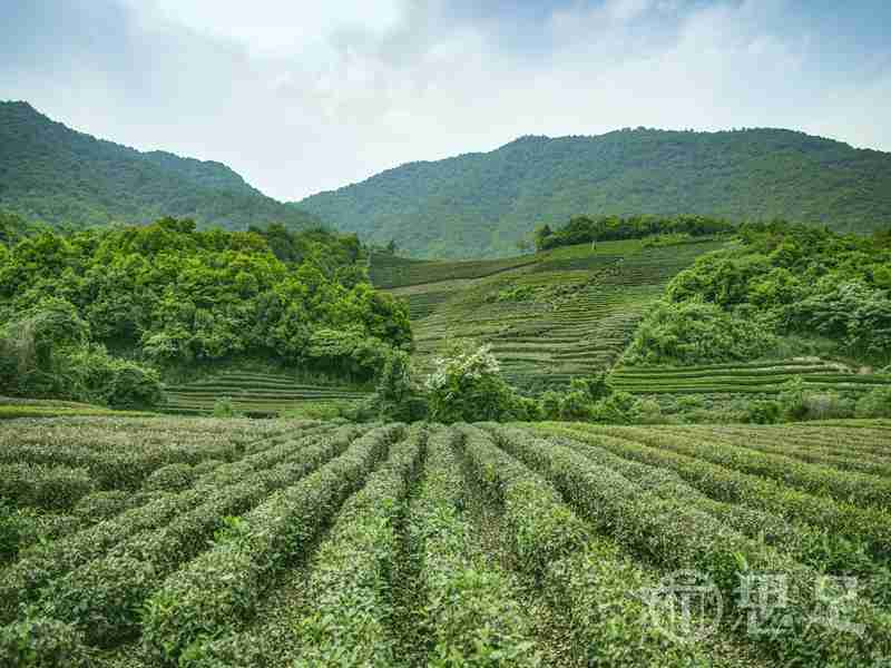 杭州西湖风景名胜区游玩打卡攻略