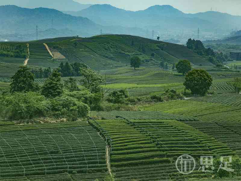 杭州西湖风景名胜区游玩打卡攻略