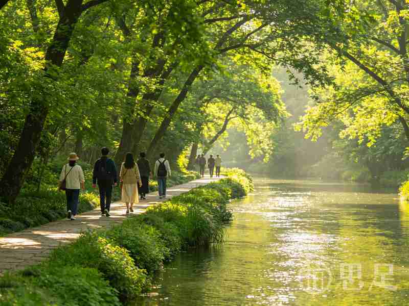 杭州慢生活：西溪湿地喝茶放松，品茗养生悠闲体验