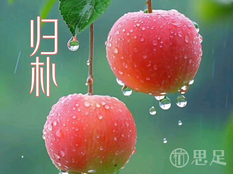 归朴养身馆