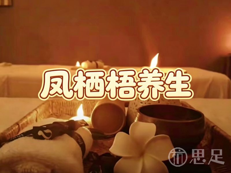 凤栖梧·养生2