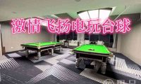 激情飞扬电玩台球