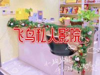 飞鸟私人影院(西湖店)