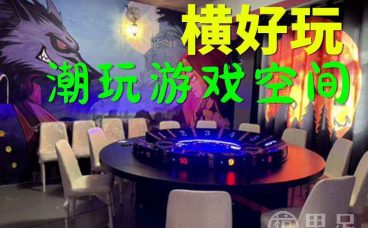 横好玩 潮玩游戏空间(千岛湖银泰店)