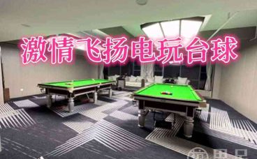 激情飞扬电玩台球