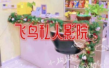 飞鸟私人影院(西湖店)