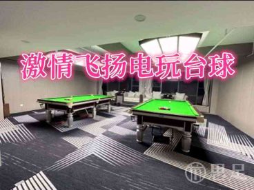 激情飞扬电玩台球