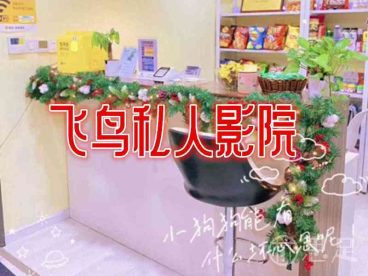 飞鸟私人影院(西湖店)