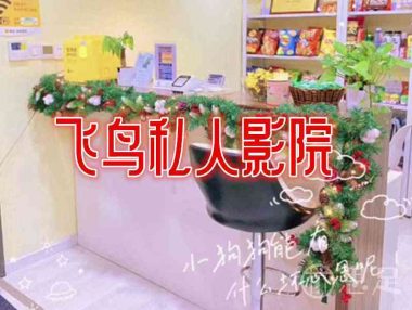 飞鸟私人影院(西湖店)