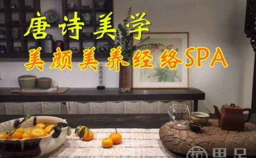 唐诗美学·美颜美养经络SPA(莫干山路）