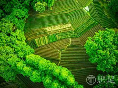 杭州好玩的地方：解锁放松解压新地图