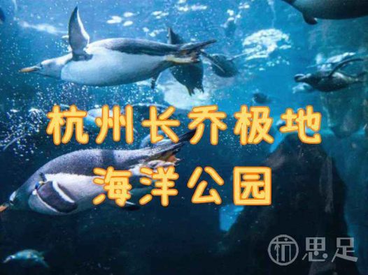 杭州长乔极地海洋公园