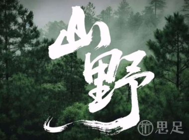 淳先生·浙江山野菜