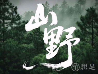 淳先生·浙江山野菜