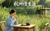 杭州慢生活：西溪湿地喝茶放松，品茗养生悠闲体验