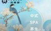 按摩吧推拿SPA