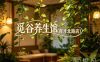 觅谷养生馆(育才北路店)