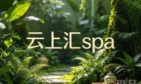云上汇spa