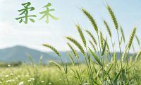 柔禾(足道)