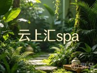 云上汇spa