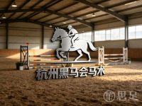 杭州黑马会马术