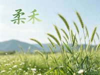 柔禾(足道)