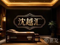 沈越汇