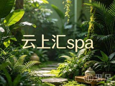云上汇spa