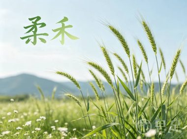 柔禾(足道)