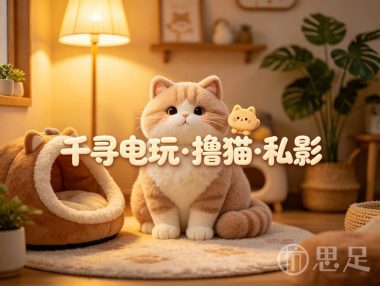 千寻电玩·撸猫·私影