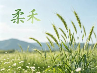 柔禾(足道)