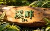 溪畔SPA