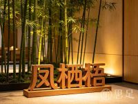 凤栖梧·养生