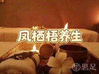 凤栖梧·养生