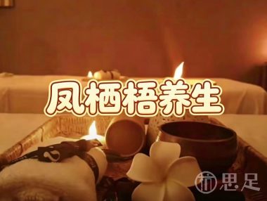 凤栖梧·养生