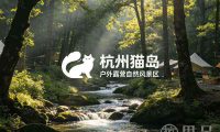 杭州猫岛