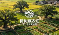 樟树底农庄土灶烧烤采摘园
