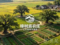 樟树底农庄土灶烧烤采摘园