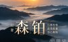 森铂·轻奢·SPA