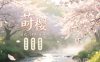 莳樱·日式SPA·采耳