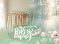 瞰界北极鸥摄影