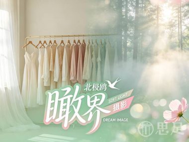 瞰界北极鸥摄影